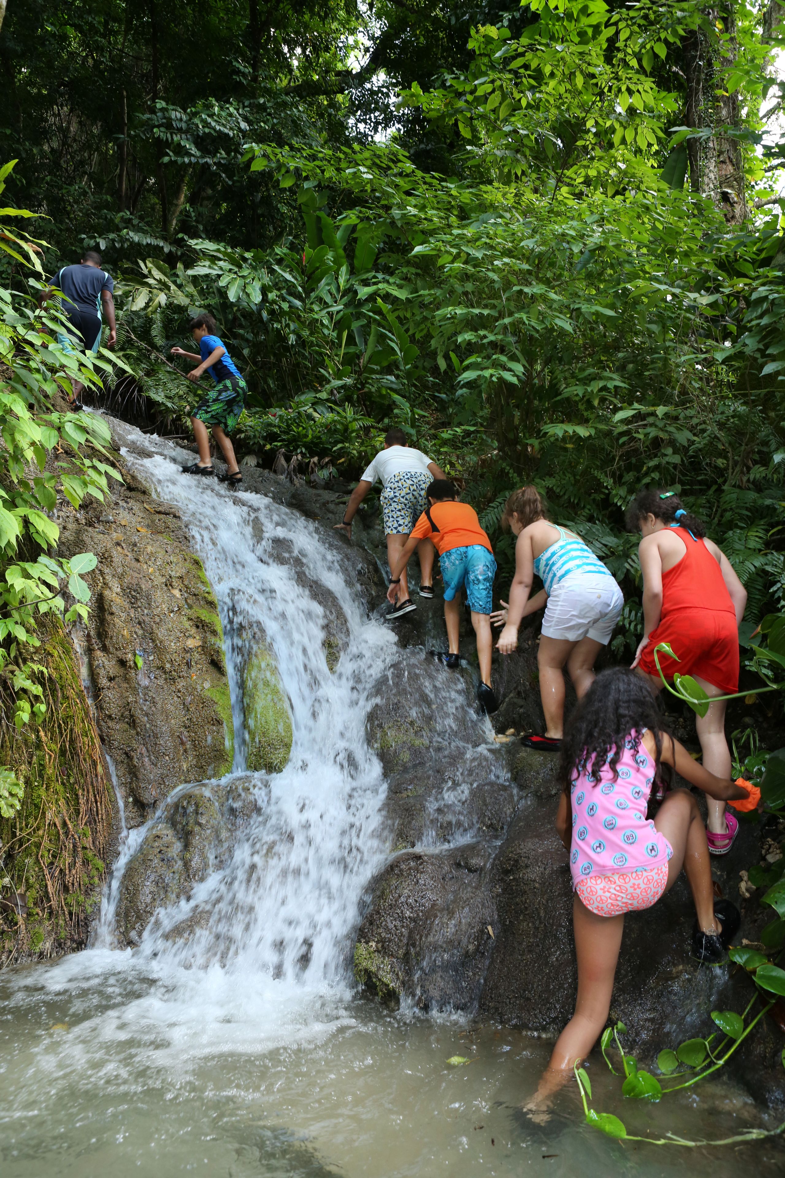 Een groep mensen beklimt een waterval in een weelderig, groen bos.