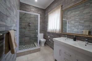 Double Room | Douche de la salle de bain