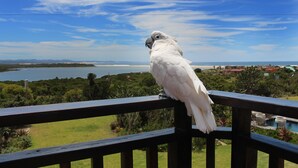 Un perroquet blanc était perché sur une balustrade en bois, d’où il surplombait un paysage côtier verdoyant, avec des bâtiments visibles au loin.