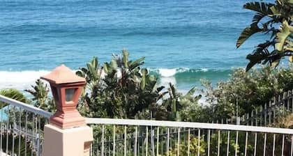 Dolphin Point
