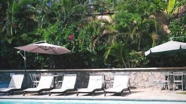 Ein Pool mit Liegestühlen und Sonnenschirmen, umgeben von Palmen und viel Grün.