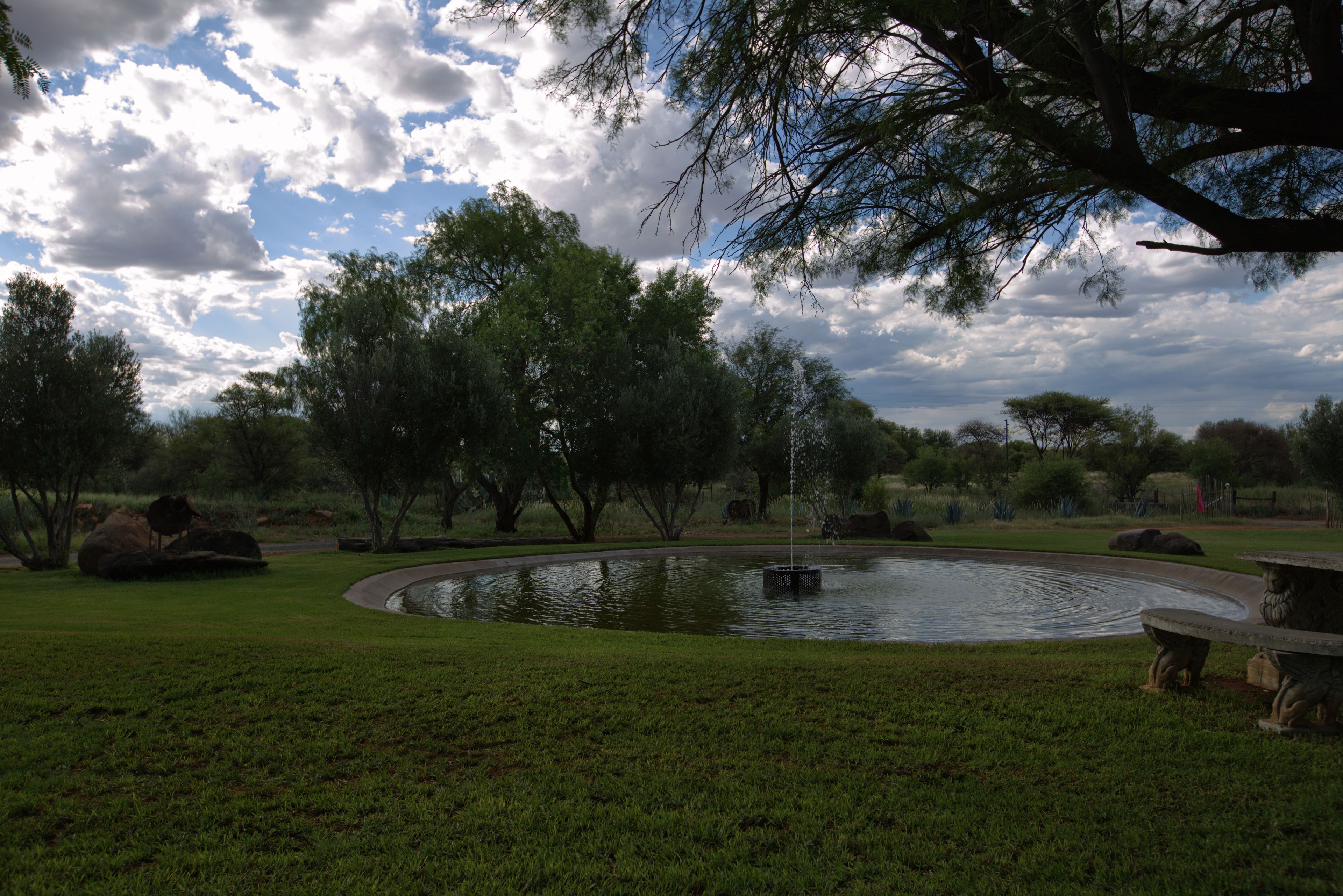 Un parque con un estanque circular, árboles y un banco.
