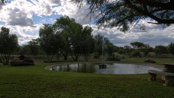Un parque con un estanque circular, árboles y un banco.