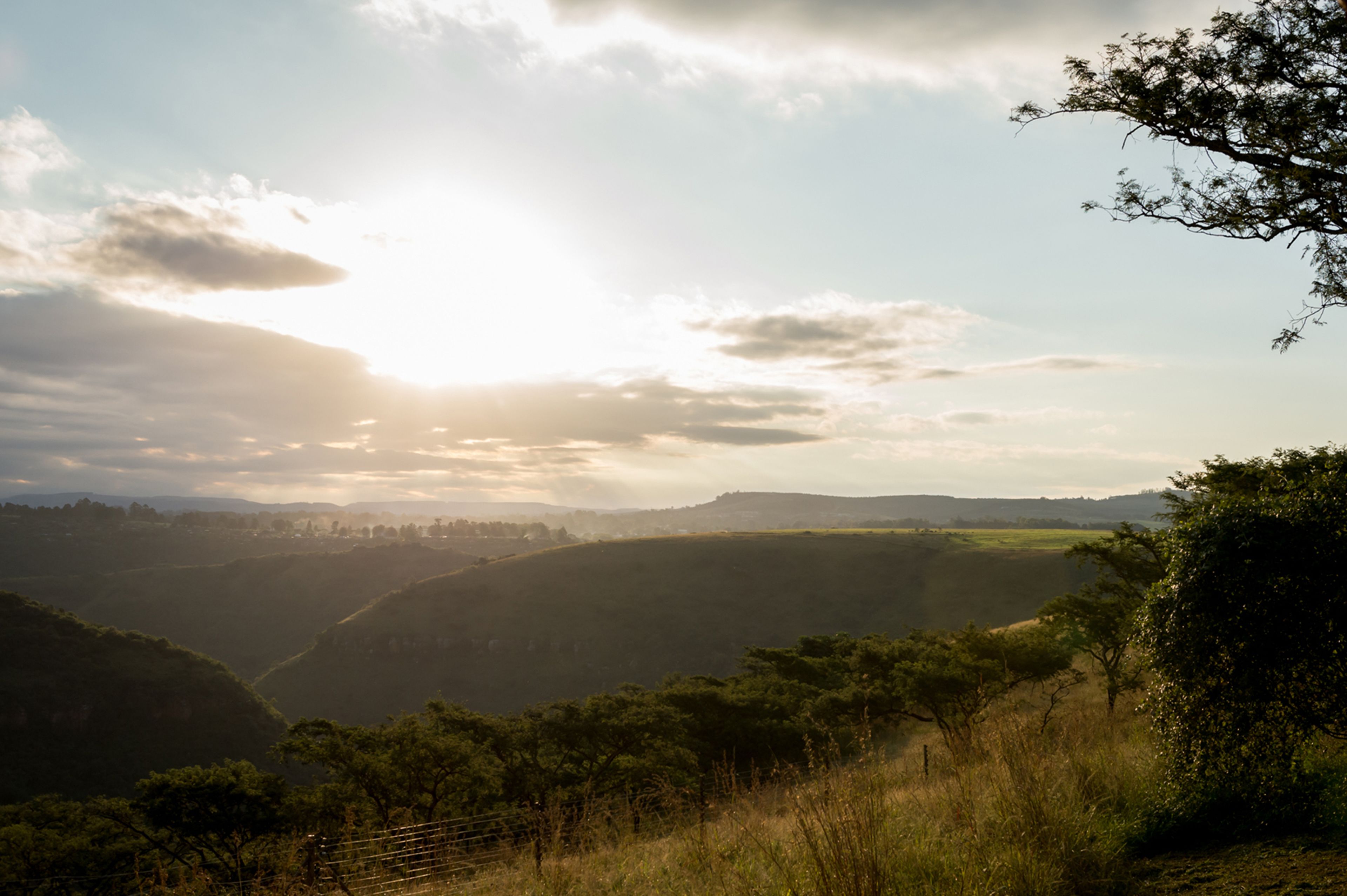 A landscape with rolling hills and a fence in the foreground.