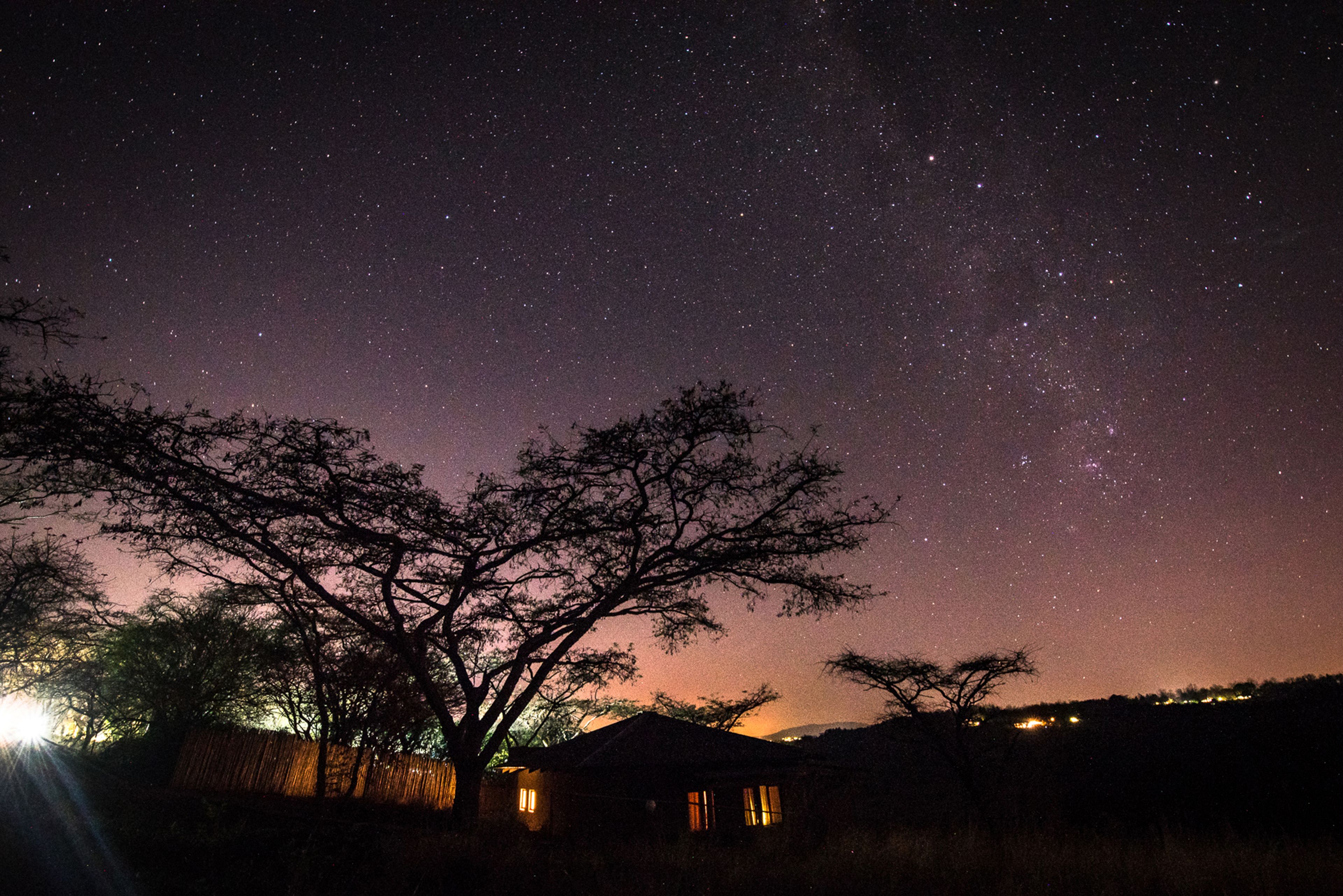 A night sky with stars, a tree, and a house with lights.