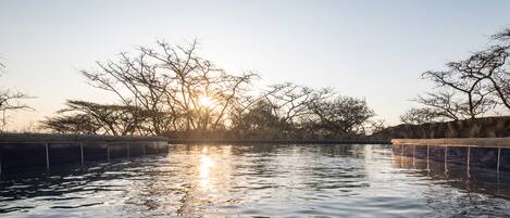Una masa de agua tranquila con borde de hormigón, rodeada de árboles sin hojas y un cielo despejado.