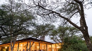 A cozy, open-air structure with a wooden roof and large windows, surrounded by lush trees and greenery. - The Hilton Bush Lodge (Hilton)