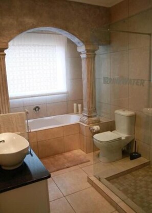 Shower, hair dryer, towels - Drinkwater Guest Farm (Ermelo)