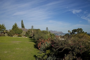 Jardim