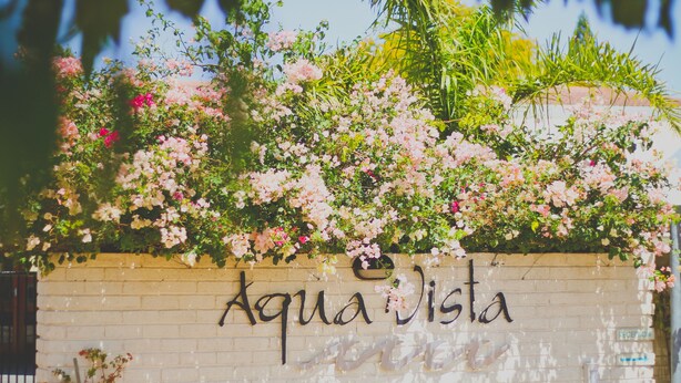 En vägg med texten ”Aqua Vista” och en tegelvägg med en trädgård ovanför.