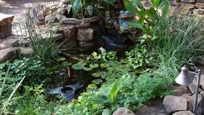 A garden with a pond, rocks, and various plants. - Inn at Halona (Zuni)