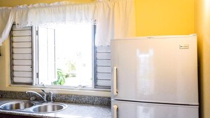 A kitchen with a double sink, a refrigerator, and a window with curtains. - Kingston Guest Apt at Plantation Springs (Kingston)