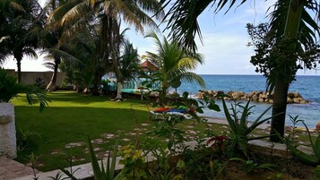 Un jardín tropical con piscina, palmeras y vista al océano.
