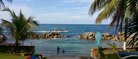 A coastal resort with a pool, palm trees, and a view of the sea.