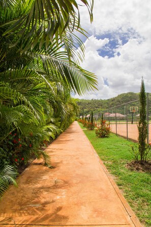 A pathway lined with palm trees and red flowers, leading to a basketball court with a fence and trees in the background. - The Oasis Golf Retreat (Kingston)