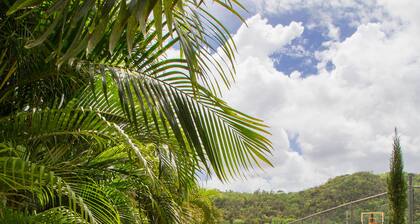 The Oasis Golf Retreat