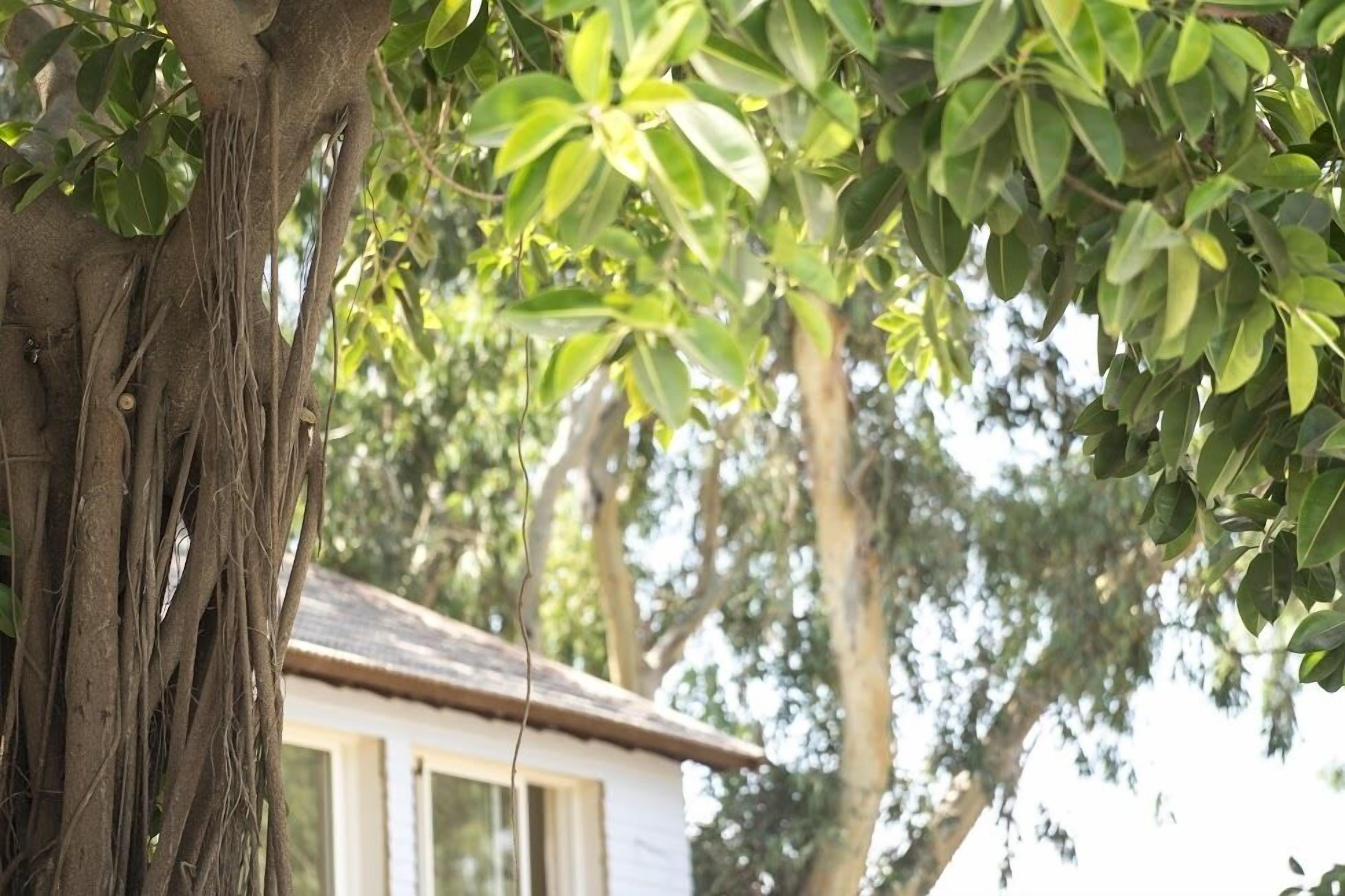 sun-loungers, beach umbrellas, beach towels, scuba diving