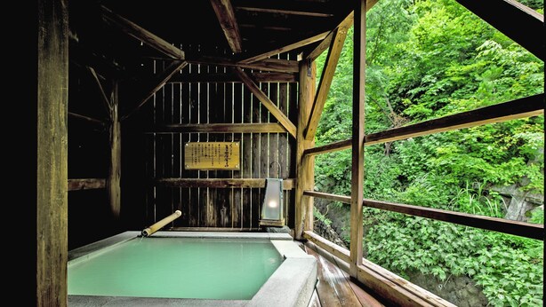 Un tradizionale bagno turco in legno con sorgente termale in pietra, travi di legno e vista su una rigogliosa vegetazione.