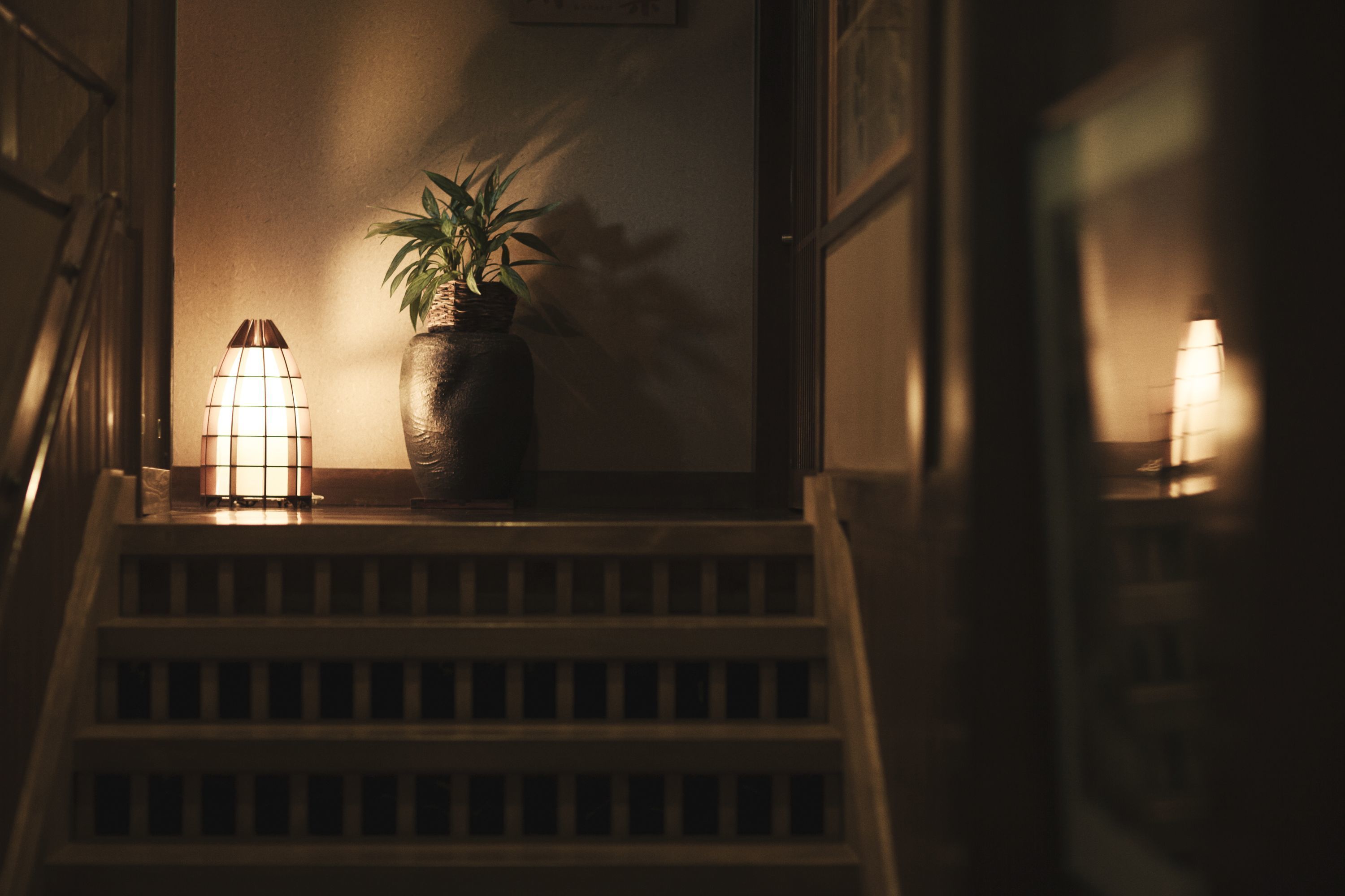 A staircase with a potted plant and two lit lamps.