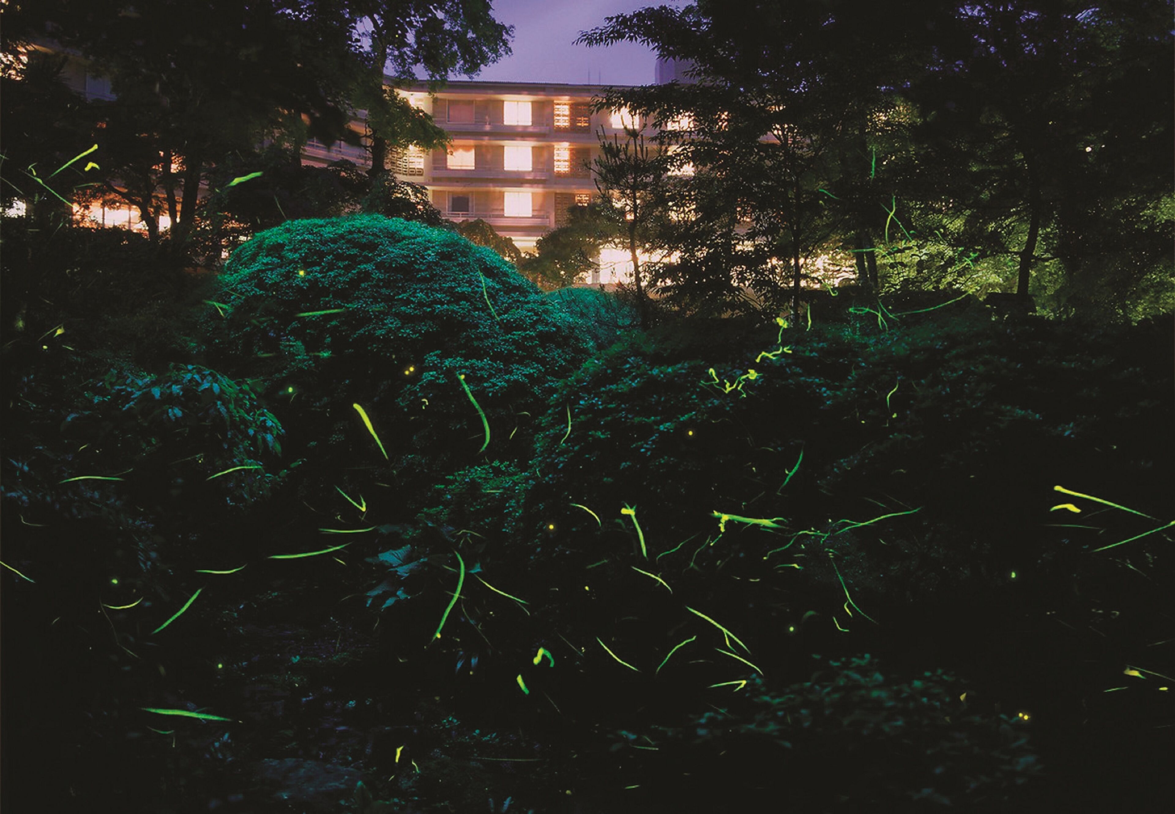 A building with multiple balconies and windows, surrounded by dense foliage.