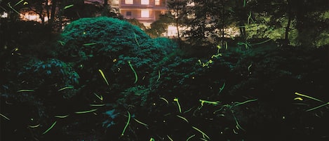 A building with multiple balconies and windows, surrounded by dense foliage.