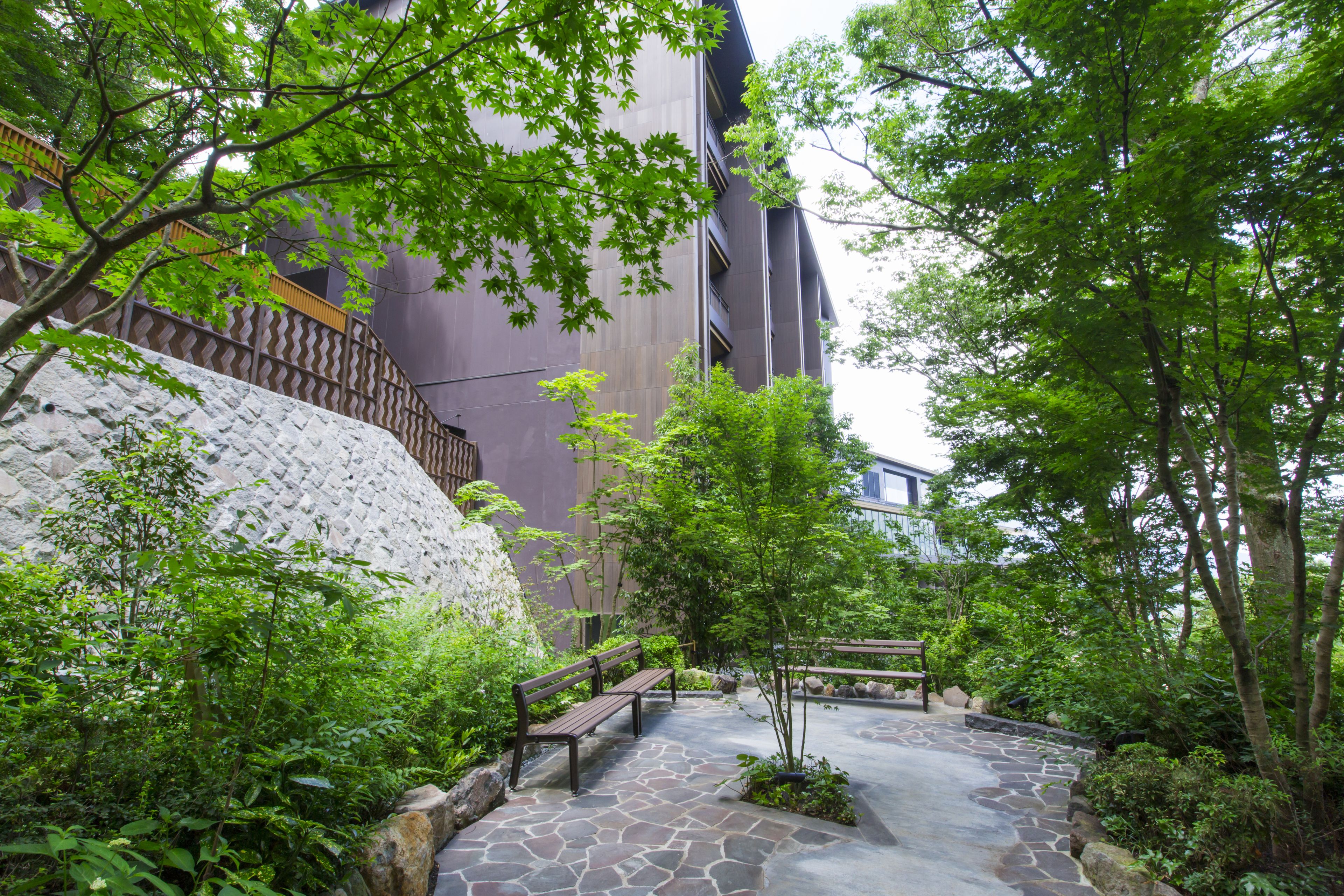 Un chemin de pierre mène à un banc en bois, entouré d’une végétation luxuriante et d’un bâtiment moderne à la façade incurvée.