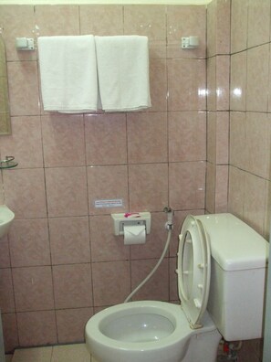 Douche, serviettes fournies