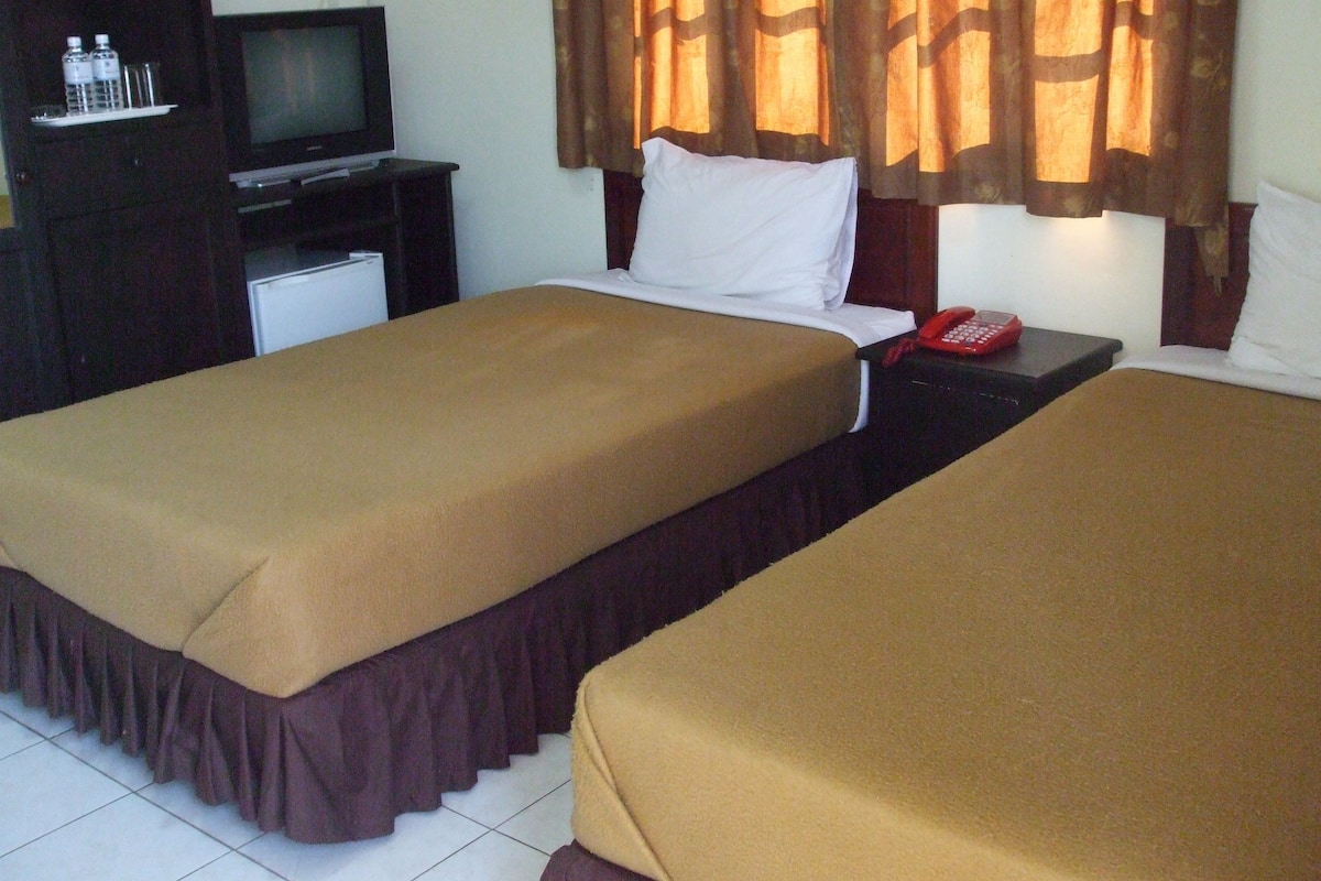 Habitación estándar con 2 camas individuales