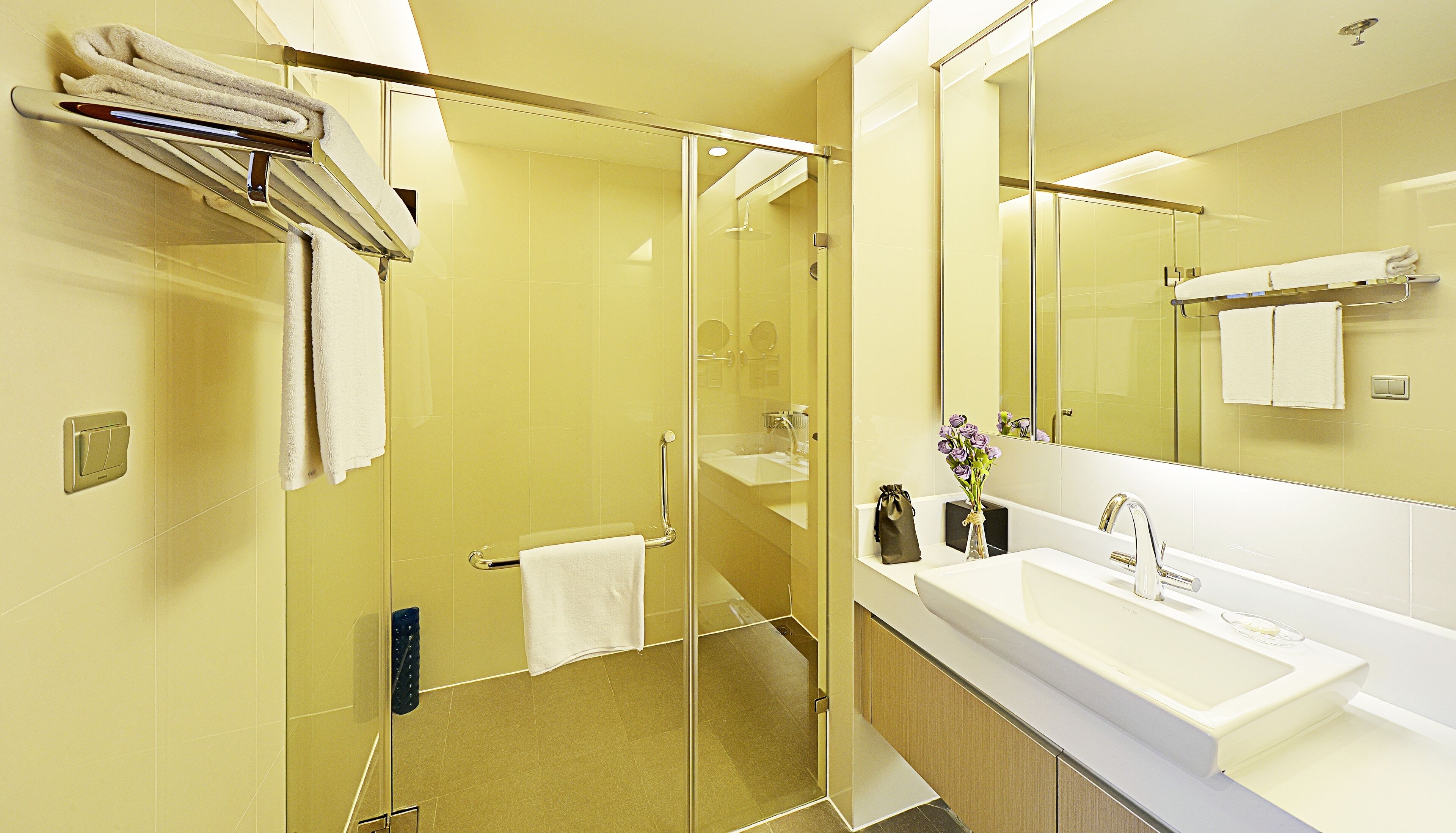 Un baño moderno con ducha de vidrio, un espejo grande y un lavamanos blanco.