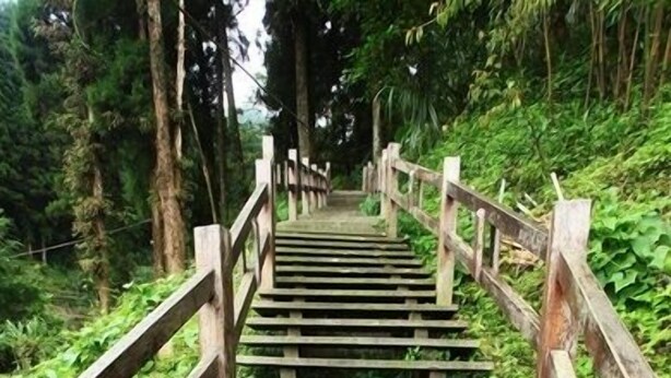 A wooden staircase with railings leading up a forested path. - Fenchihu Street Hotel (Zhuqi)