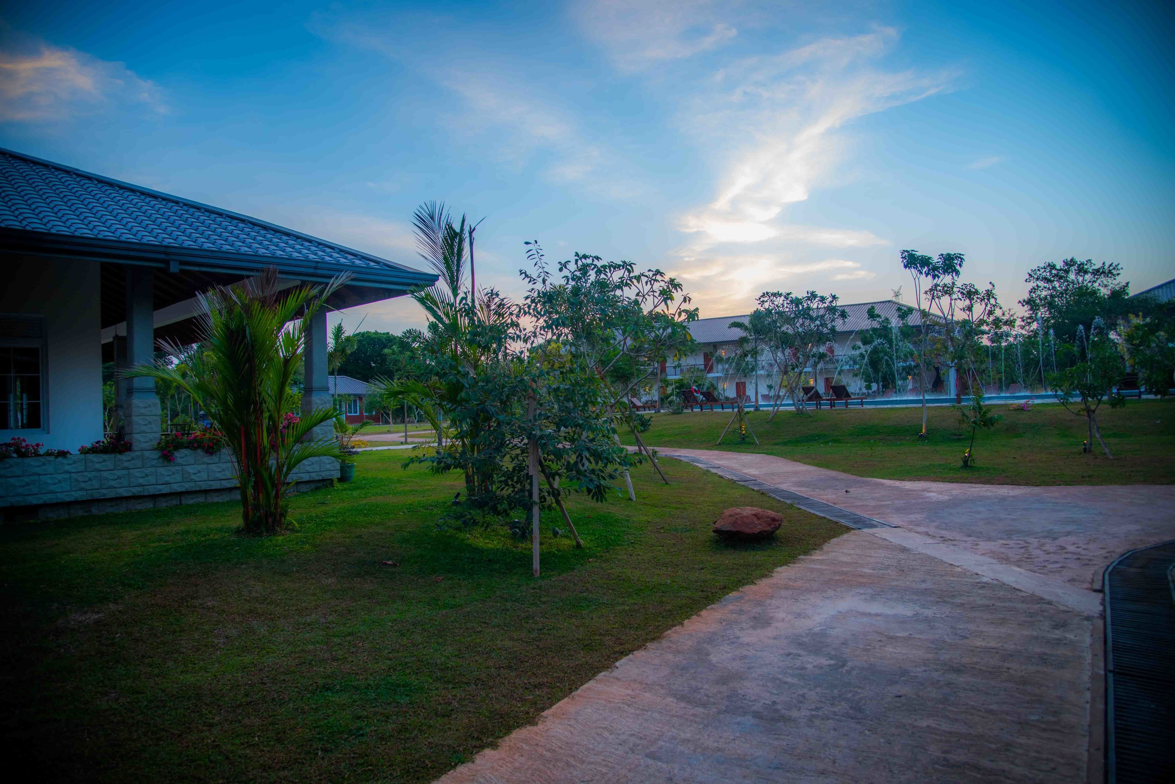 A residential area with a house, a paved driveway, and a grassy lawn with trees.