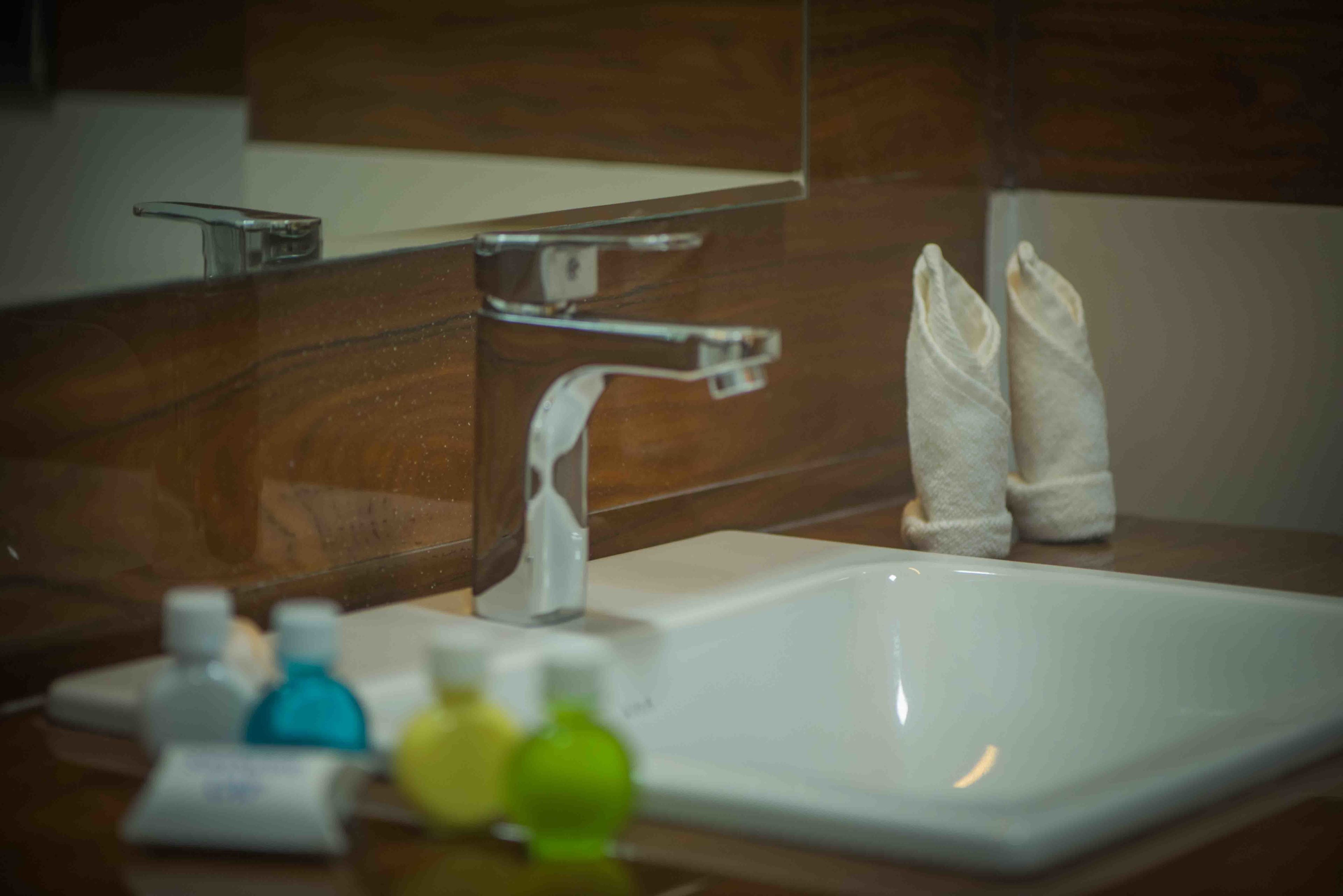 deluxe double room | bathroom sink