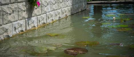 Un muro de piedra con una fuente de agua, que incluye un estanque con nenúfares y flores.
