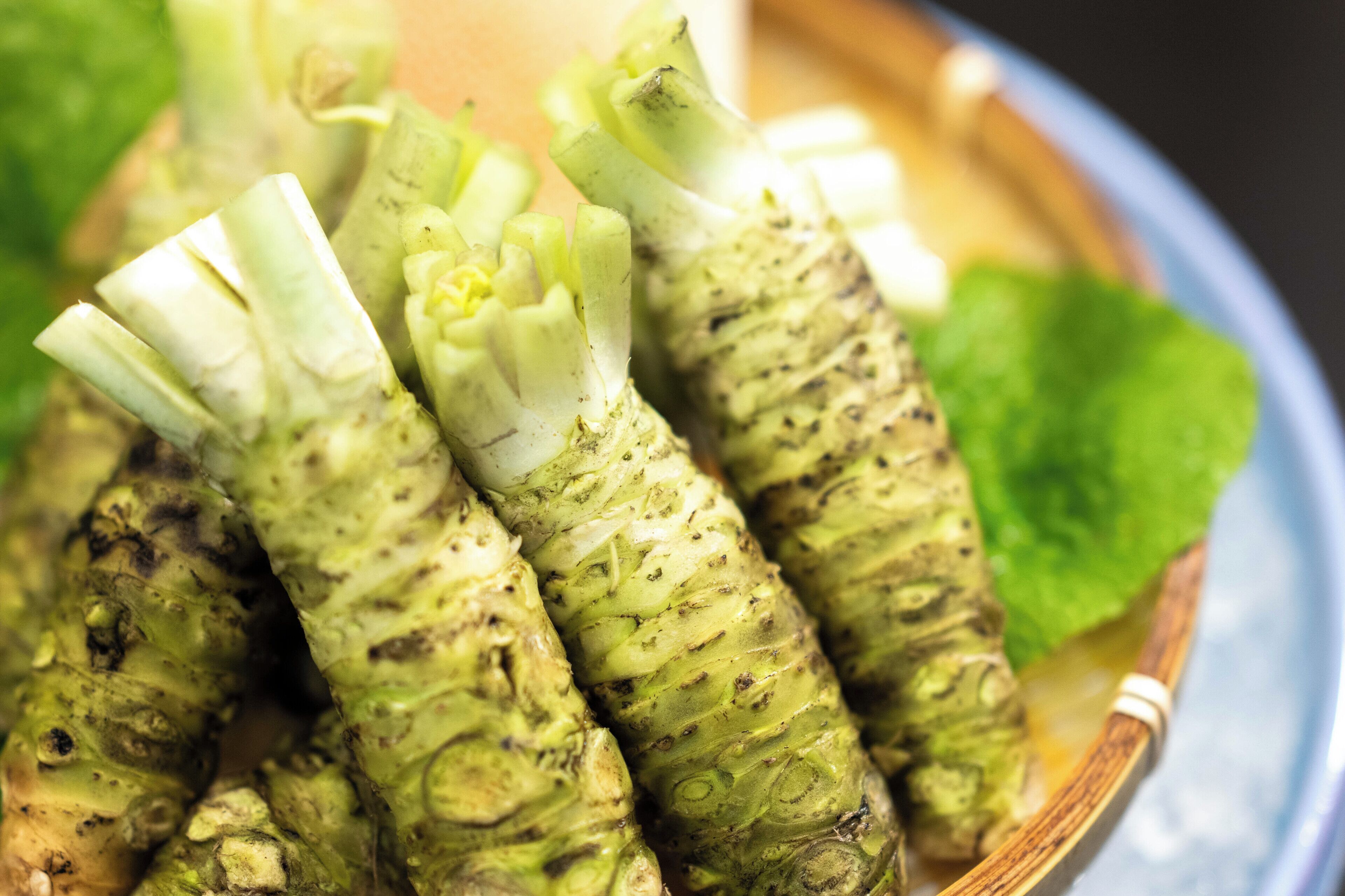 A close-up of a dish with green vegetables, possibly bitter melon, in a bowl.
