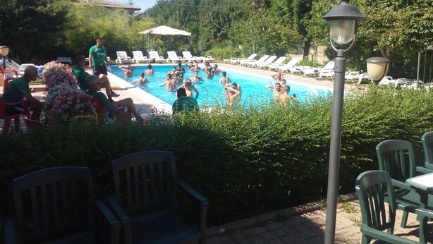 Una piscina rodeada de sillones de descanso y follaje.