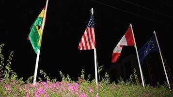 Four flags on flagpoles in front of a building at night.