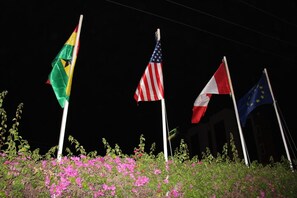 Quatro bandeiras em mastros em frente a um edifício à noite.