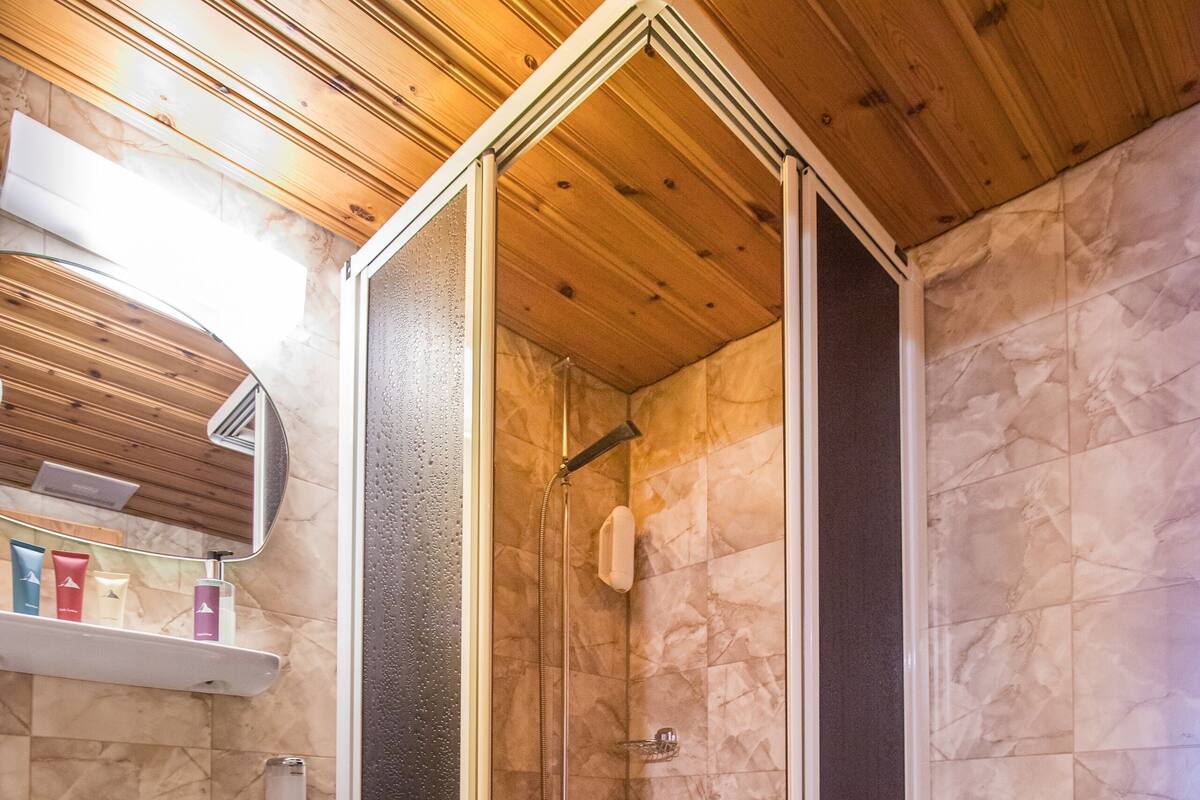 A bathroom with a wooden ceiling, a shower enclosure, a sink, and a toilet.