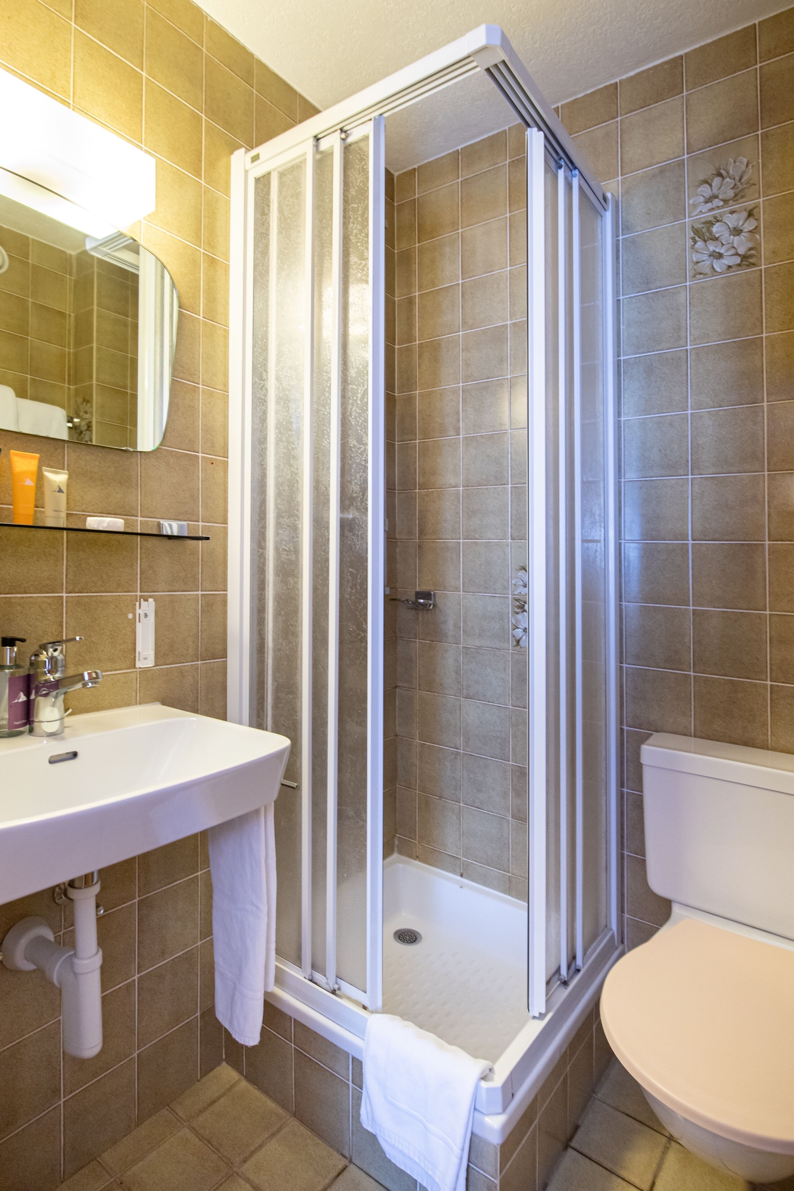 alpine double room budget | bathroom | separate bathtub and shower, hair dryer, towels