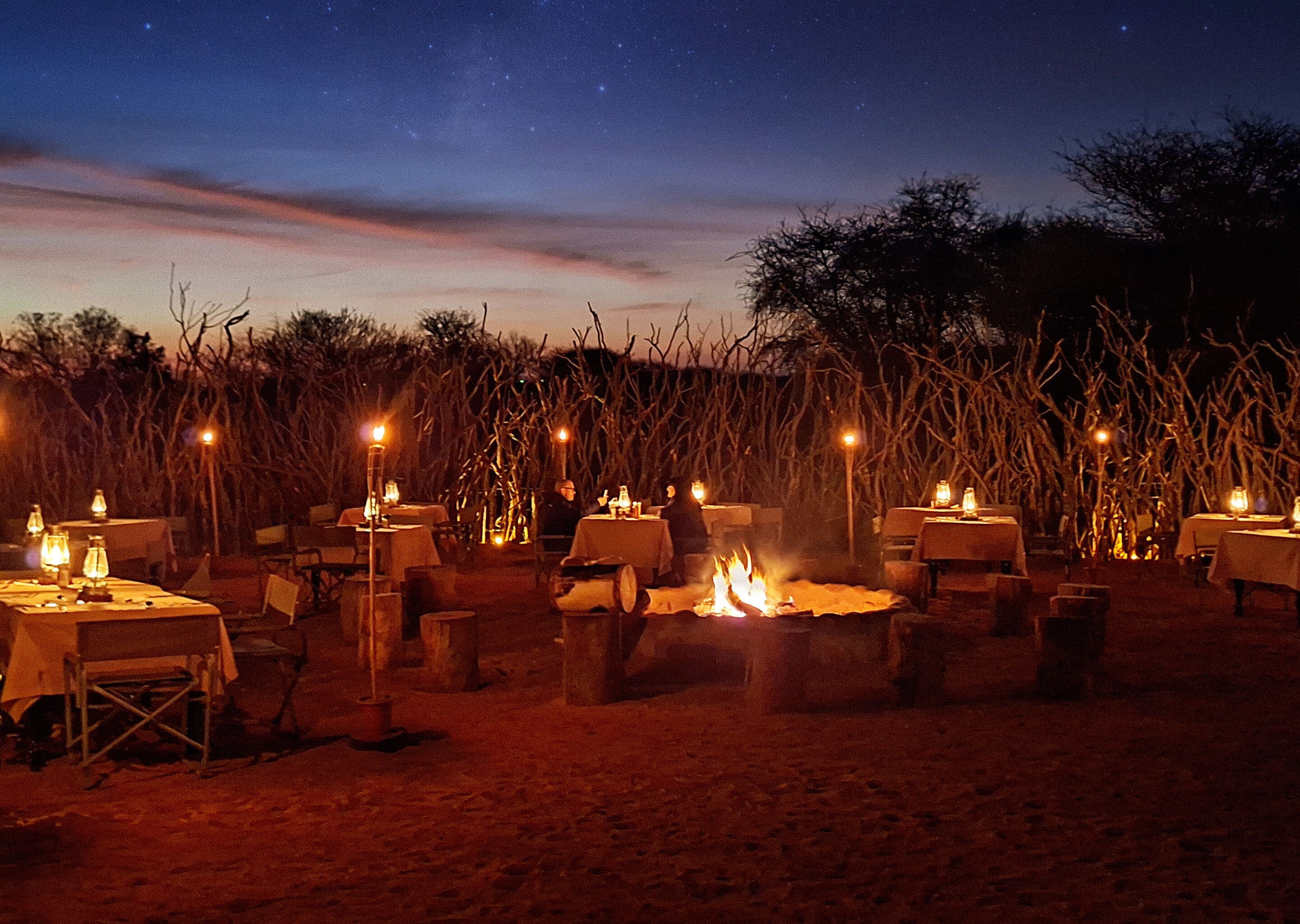 An outdoor dining area with tables and chairs arranged around a central fire pit, set against a backdrop of tall grasses and trees under a night sky.