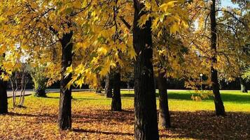 Blick auf den Garten