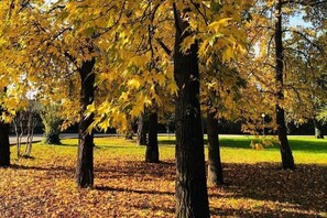 إطلالة على الحديقة