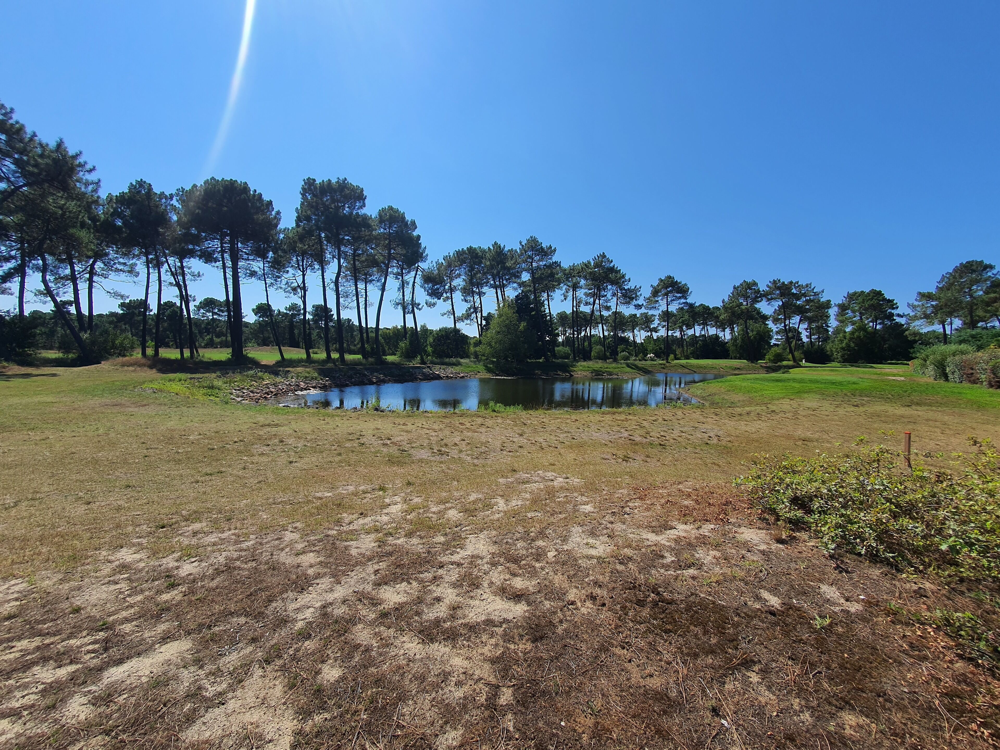 Un campo da golf con uno stagno, alberi e un cielo sereno.