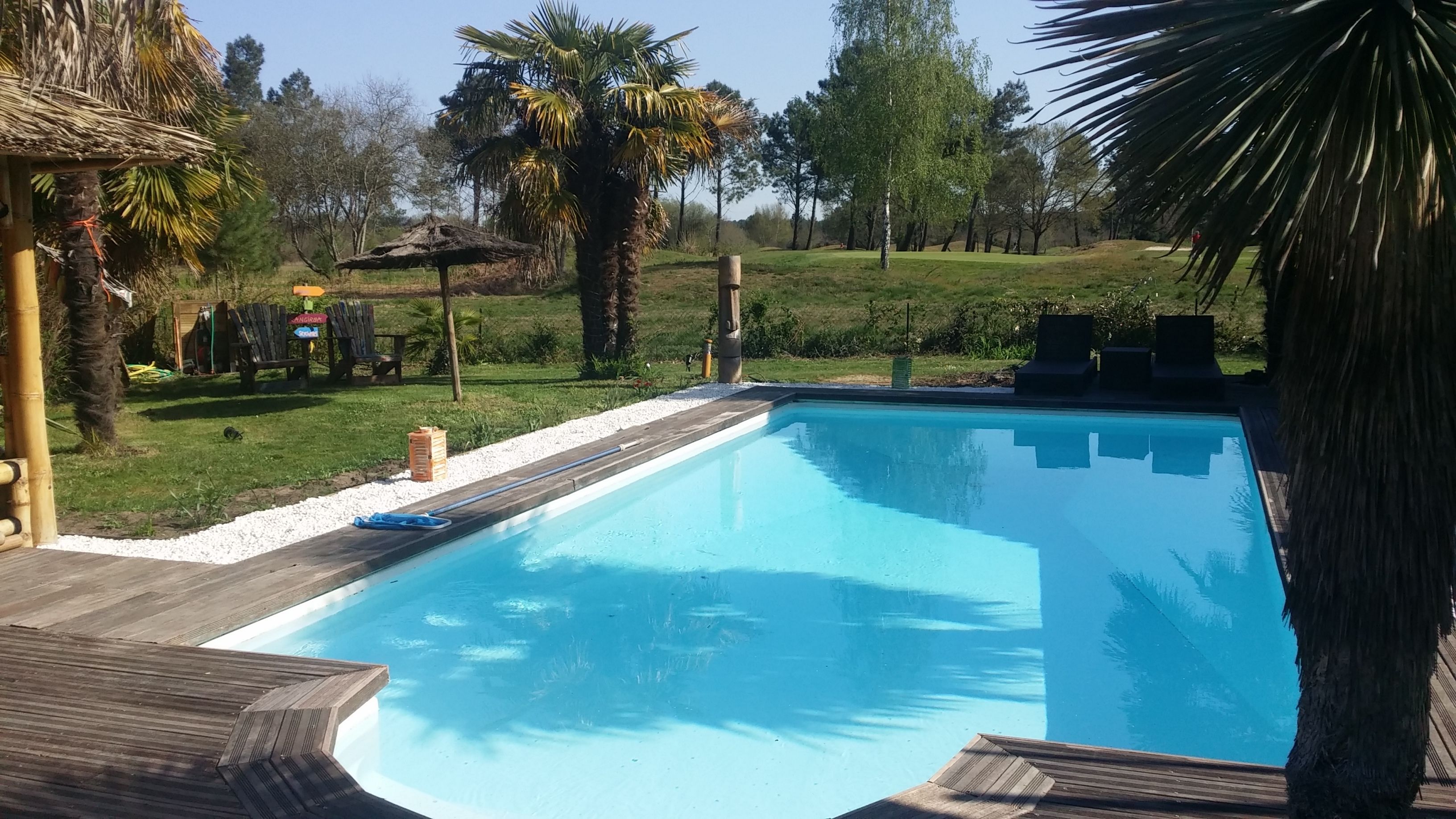 Uma piscina retangular com um deque de madeira ao redor, uma estrutura de palha e palmeiras ao fundo.