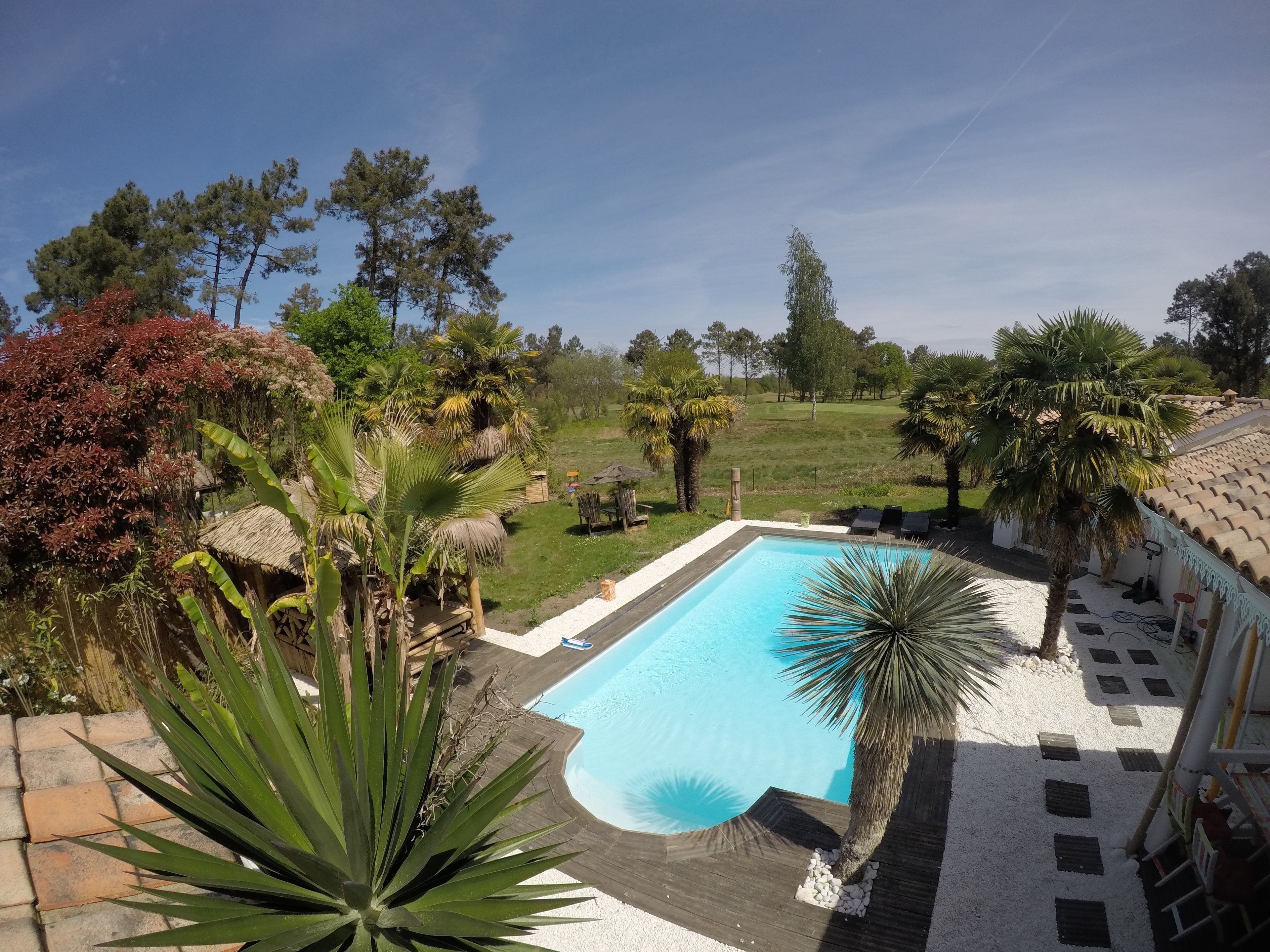 Outdoor pool, pool loungers