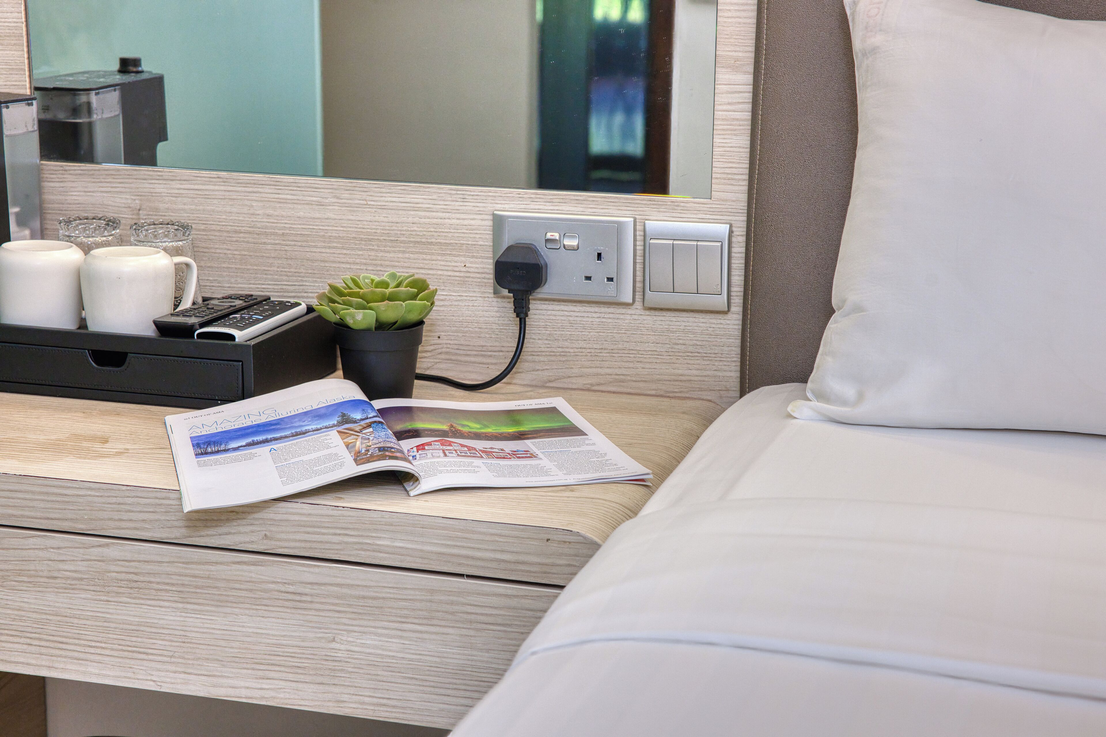 A neatly made hotel room with a bed, a bedside table with a remote control, a magazine, a small potted plant, and a power outlet.