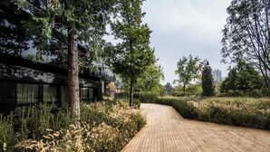 Un sendero de madera bordeado por árboles y vegetación, que lleva a un edificio moderno con ventanas de vidrio reflectante.