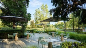 Un patio al aire libre con mesas y sillas, rodeado de follaje y árboles.
