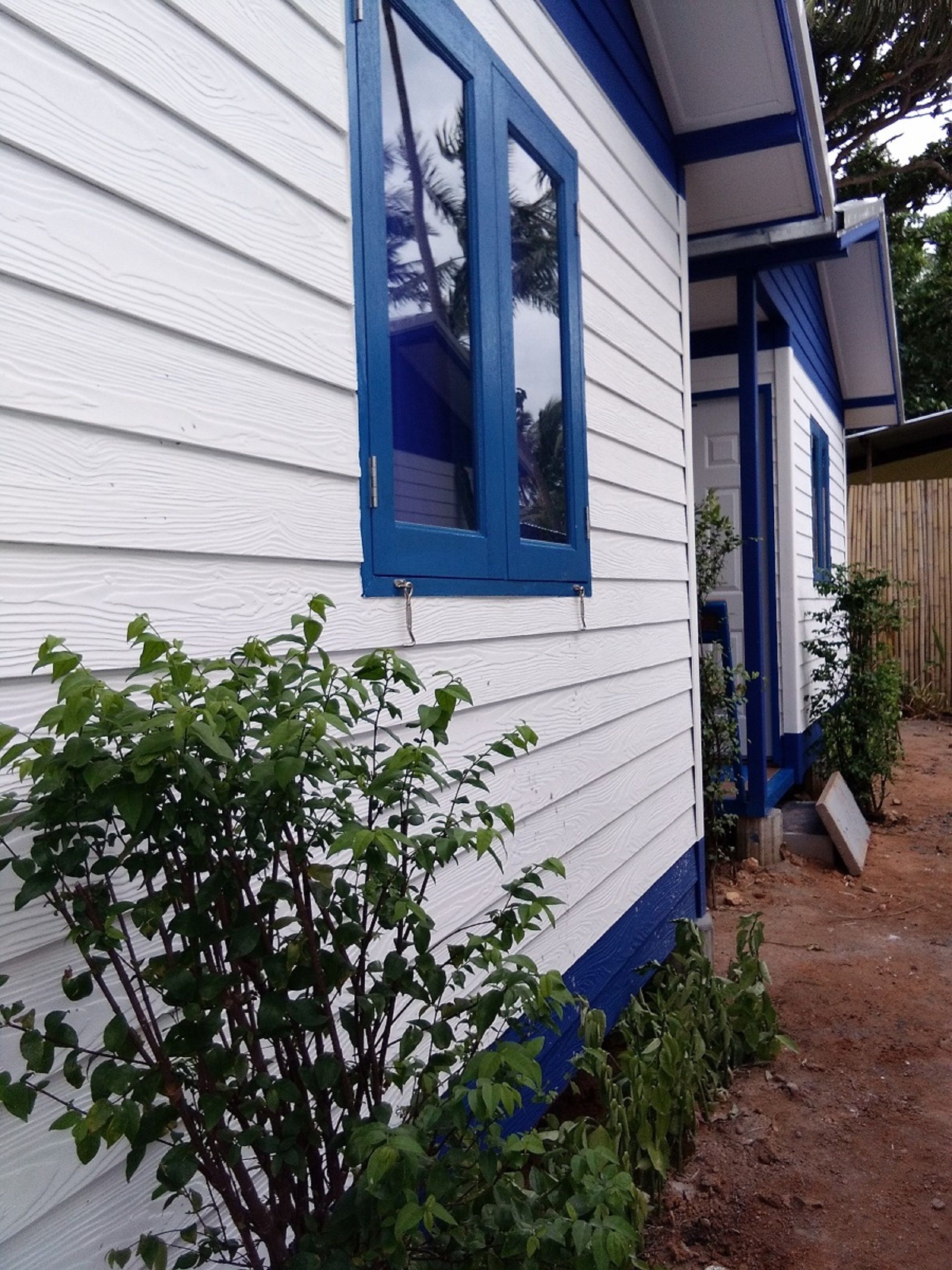 A house with white siding and blue trim, a window, and a small garden area with green plants.