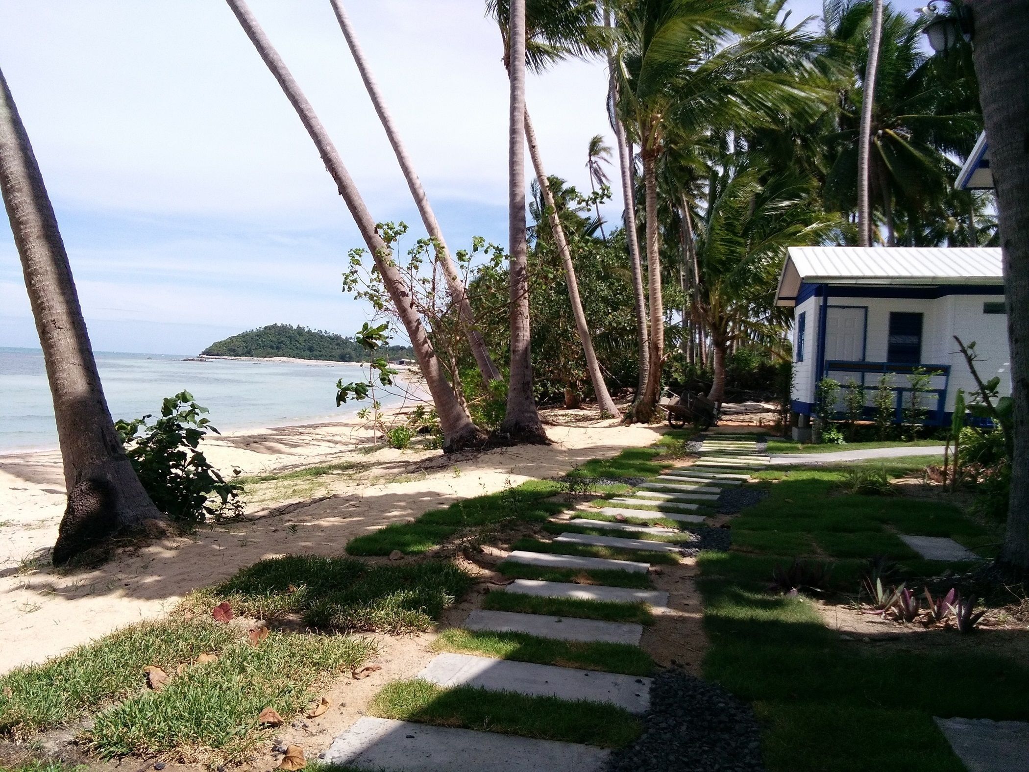 A pathway leading to a beach with palm trees, a small structure, and a distant island.